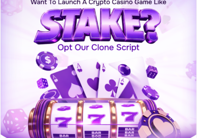 stake-clone-script-29-12-2025