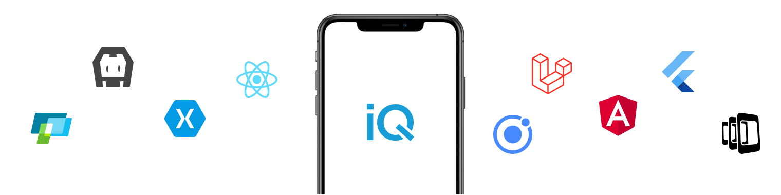 Software Development Company in Chicago – iQlance Solutions