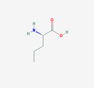 33a5ceae-7e8c-487c-9f5a-8fcf8a81bbc0