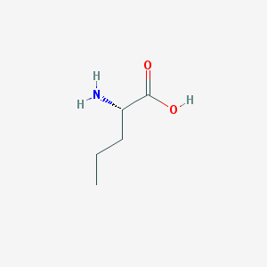 Online B2B Platform to Buy and Sell Chemical Products