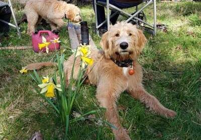 677bb169c273bad5e3afe3f63