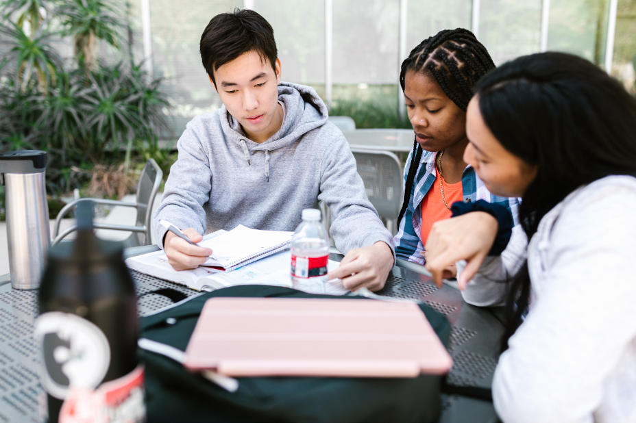 Best Study Abroad Consultants in India – Apply Now