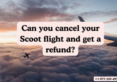 Can-you-cancel-your-Scoot-flight-and-get-a-refund