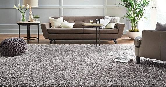 Transform Your Space with Carpet Hub – Quality Carpets & Custom Interiors