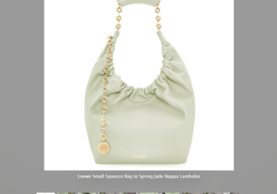 Loewe-Small-Squeeze-Bag-in-Spring-Jade-Nappa-Lambskin