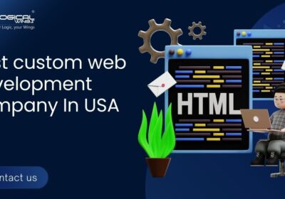 Logical-Wings-Blogs-5