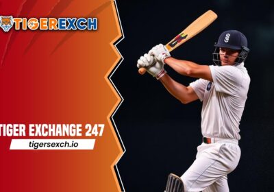 Tiger-Exchange-247-3