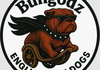 bulldogz