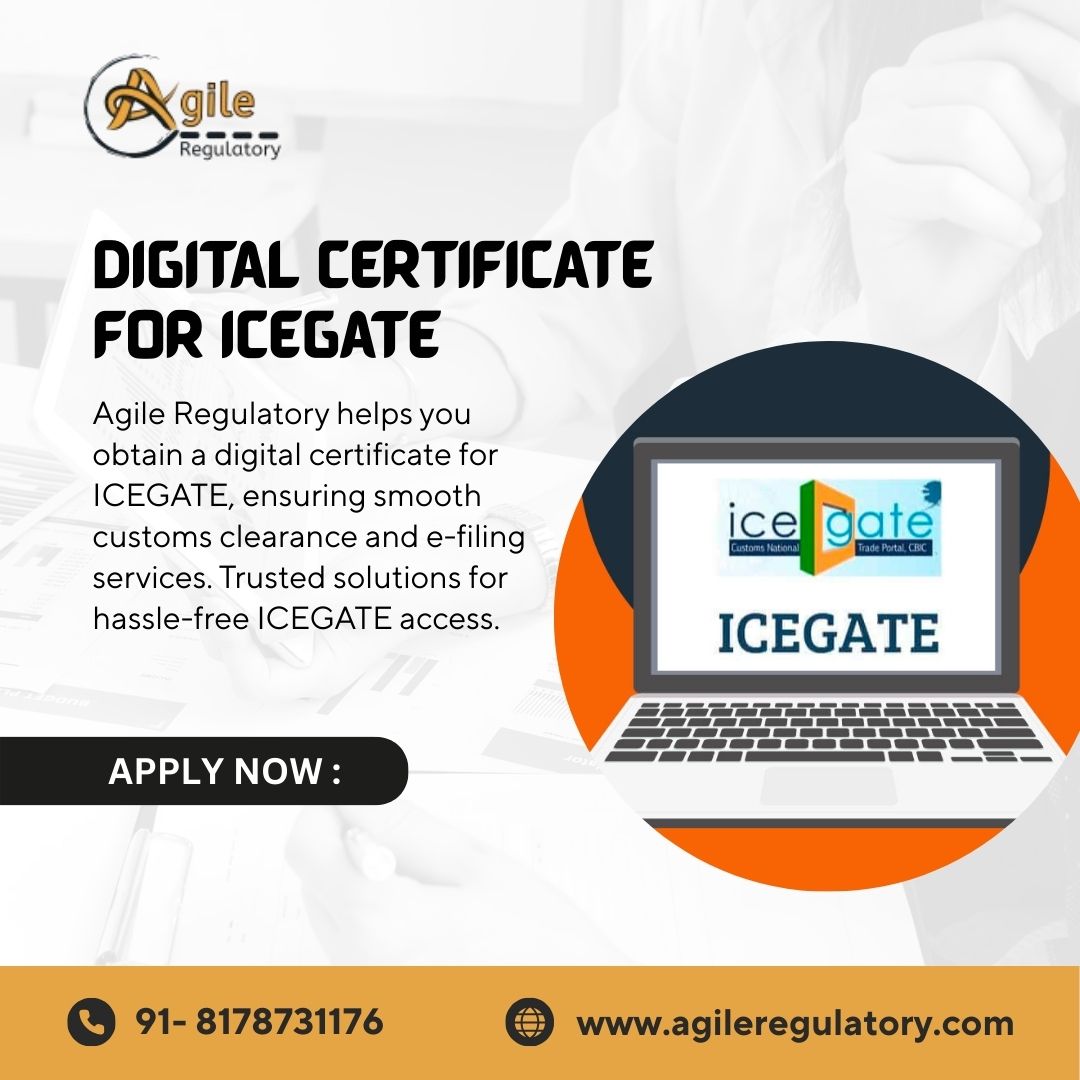 One-Stop ICEGATE Digital Signature Solution