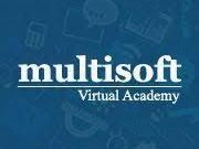 multisoft-virtual-academy-3