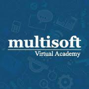 multisoft-virtual-acadmey-4
