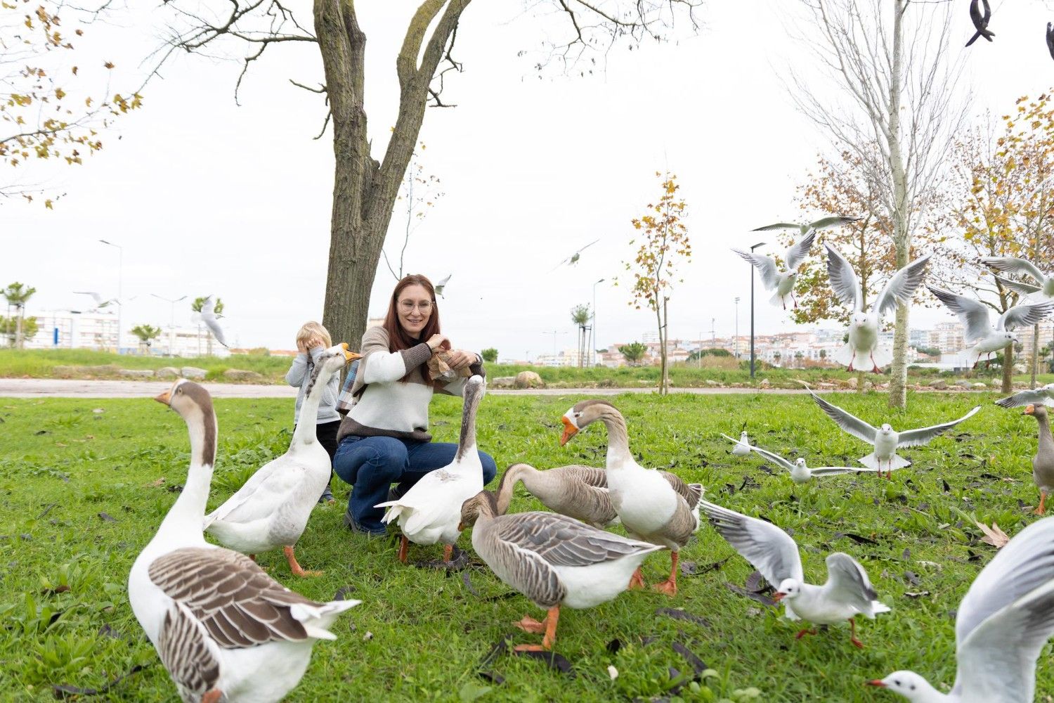 Duck Care for Beginners: Diet, Habitat & Signs of a Happy Duck