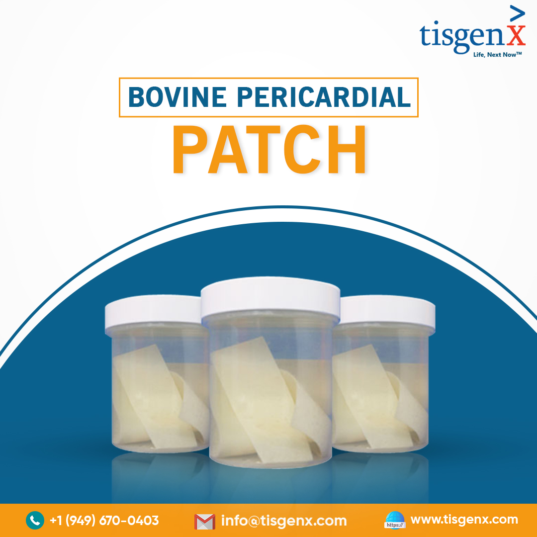 Bovine Pericardial Patch