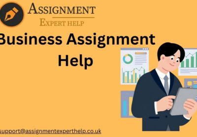 Business-Assignment-Help-1