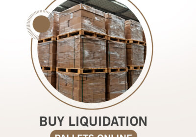 Buy-liquidation-pallets-online