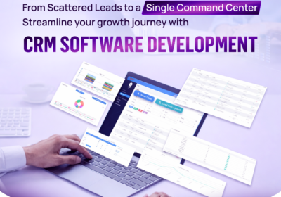 CRM-Software-Development