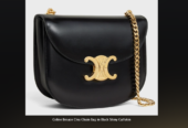 Celine-Inspired Handbags at SpottedBags.to
