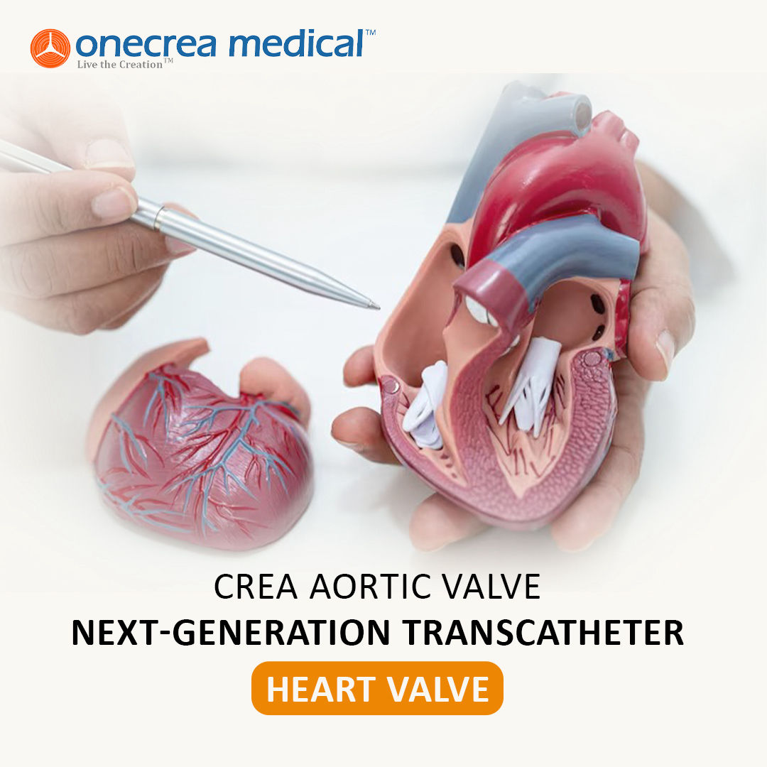 Crea Aortic Valve – Next-Generation Transcatheter Heart Valve