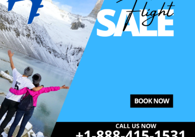 Flight-Ticket-Skytravelfly