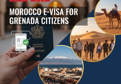 Gemini_Generated_Image_wwgra4wwgra4wwgr