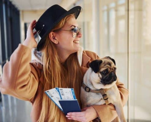 Guide to International Pet Transport Logistics