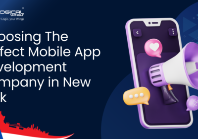 Logical-Wings-Blogs-2