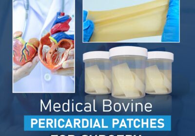Medical-Bovine-Pericardial-Patches-for-Surgery