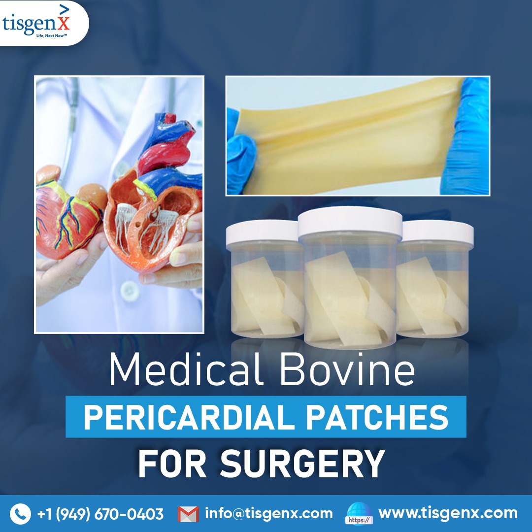 Medical Bovine Pericardial Patches for Surgery