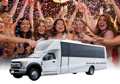 Napa-Party-bus-service