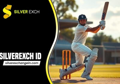SilverExch-ID