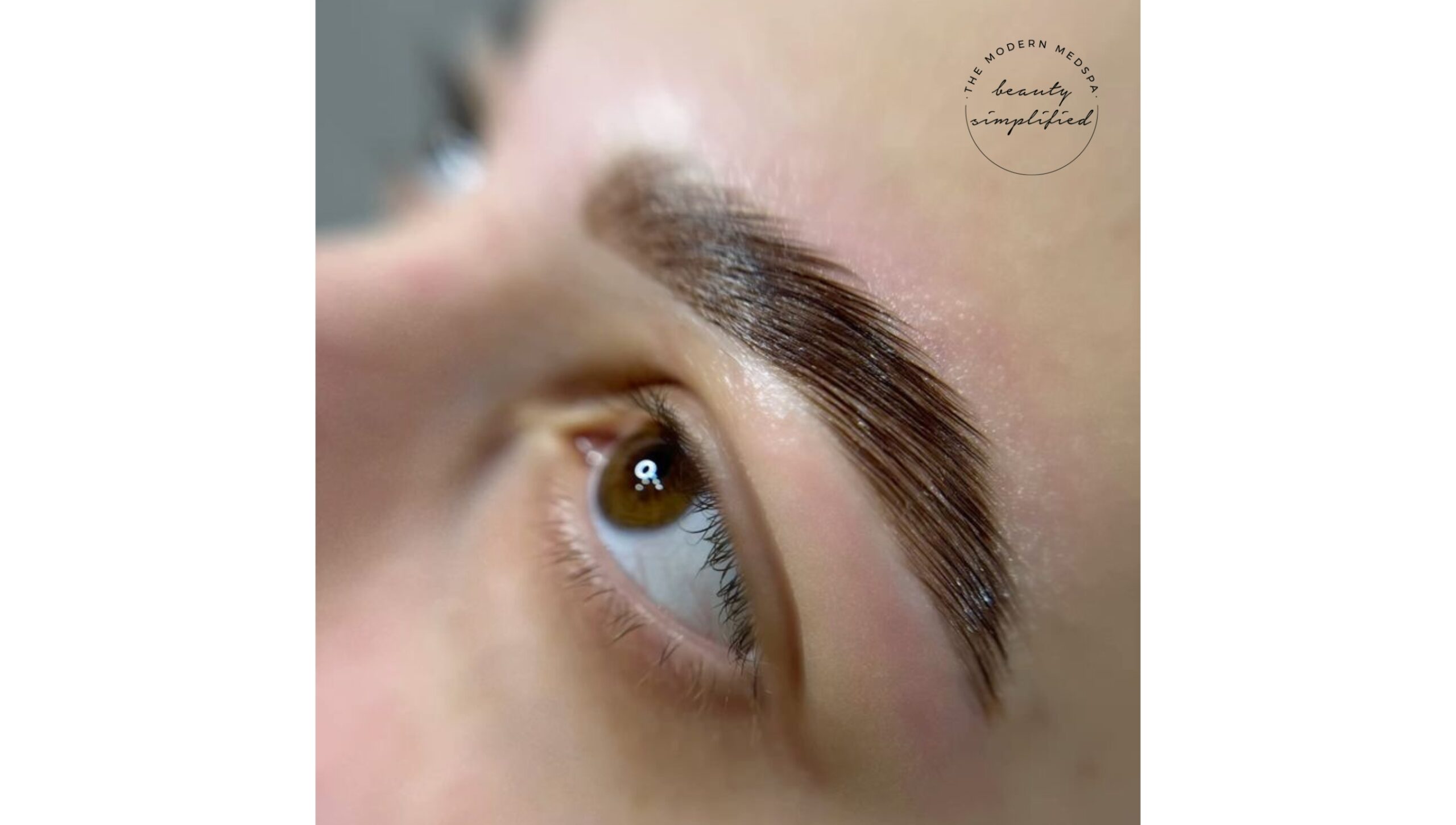Brow Lamination & Skin Rejuvenation in Austin – Lash and Company