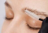 Beauty Services at Lash and Company Windsor