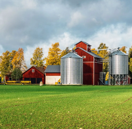 BT Steel Contractors , LLC