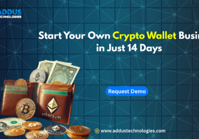 Start-Your-Own-Crypto-Wallet-Business-in-Just-14-Days